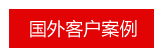 国外案例